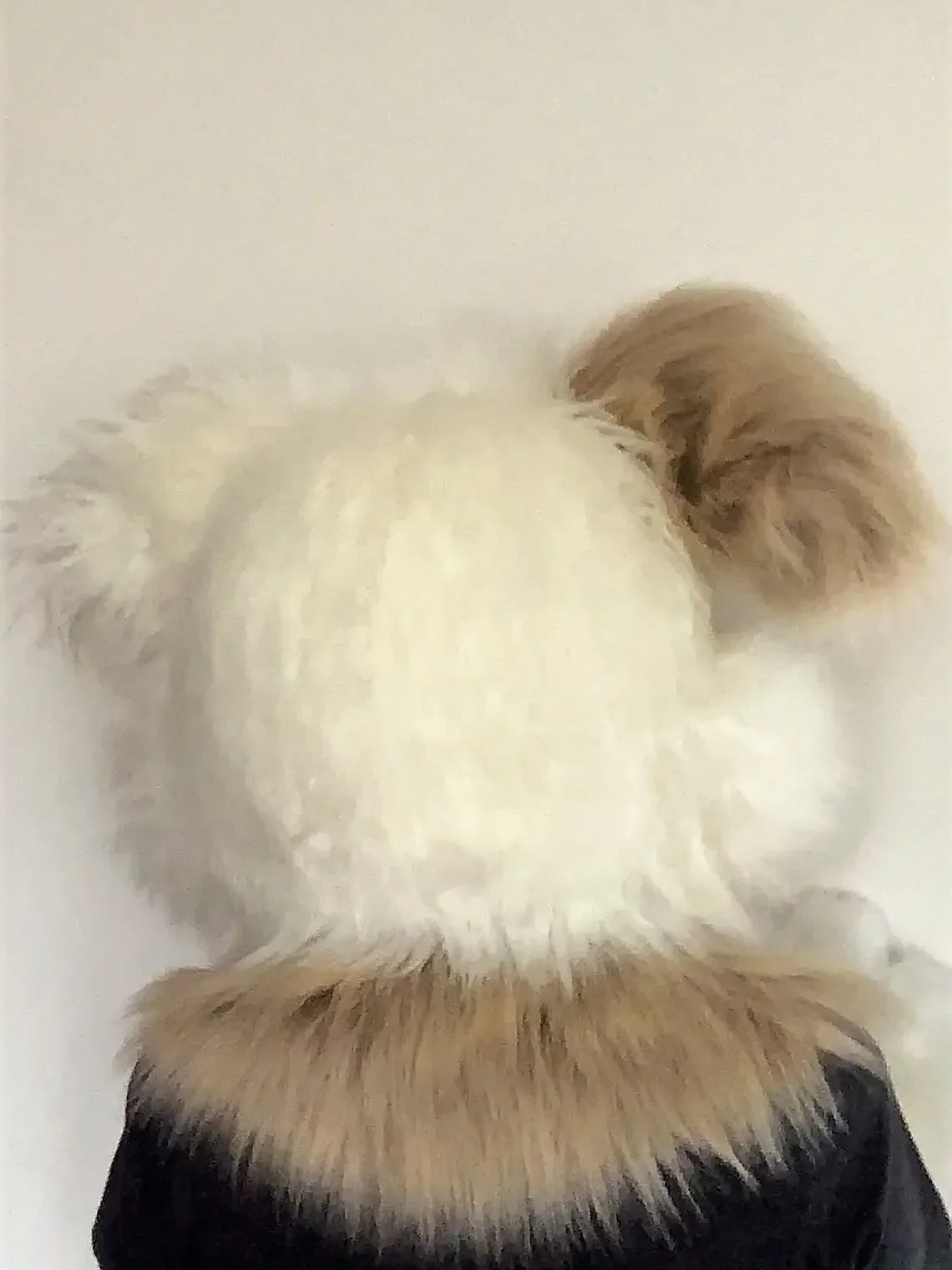 Cute Puppy Dog Partial Fursuit (Head & Paws)
