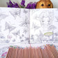 100 Page Coloring Book