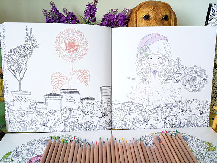 100 Page Coloring Book