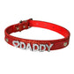 Daddy Dom DDLG/ ABDL Leather Collar