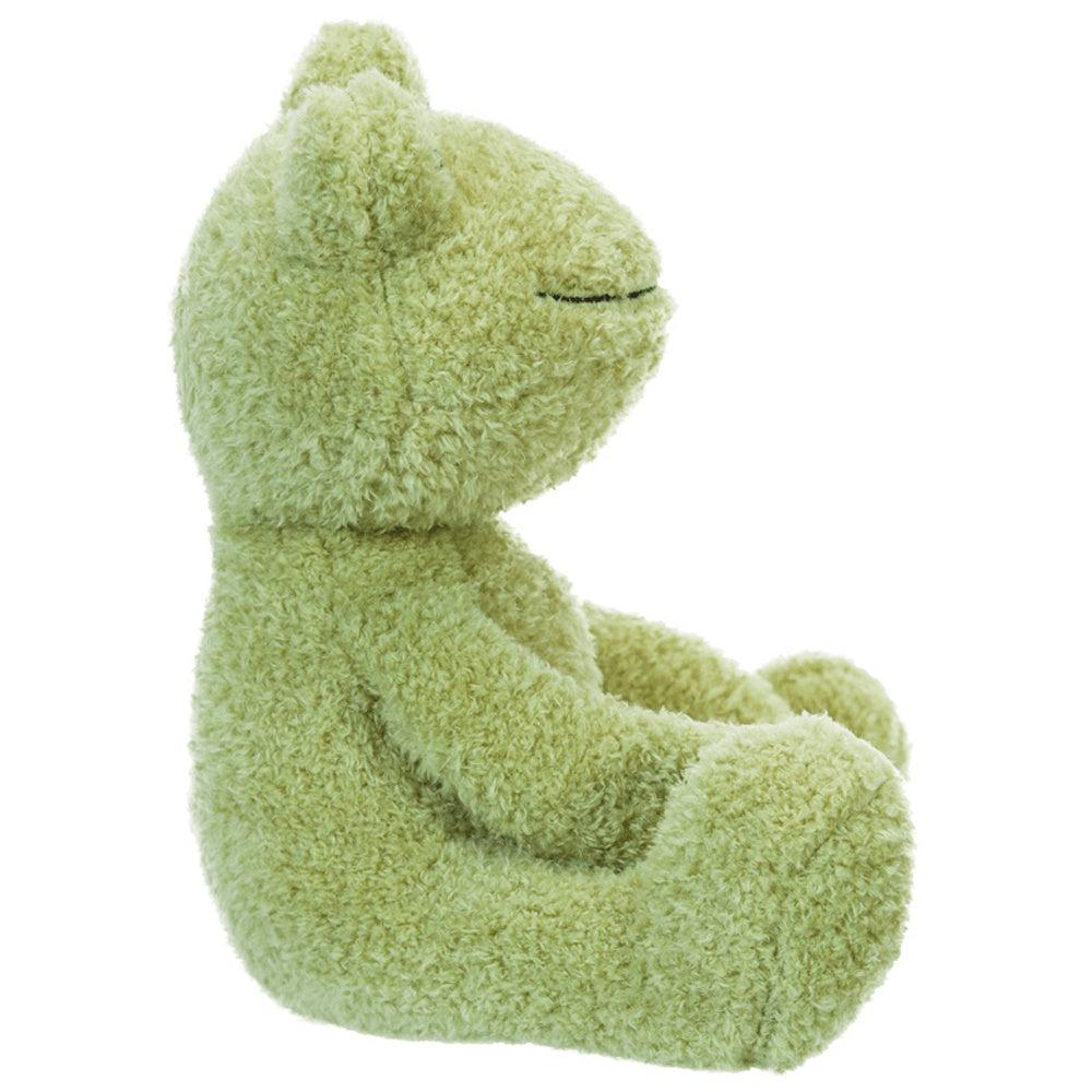 Bebe The Frog Plushie